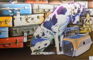 a spotted dog in font of suitcases